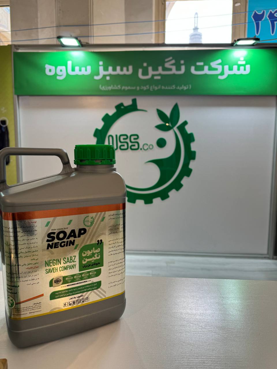 photo_33_2025-10-19_08-15-28